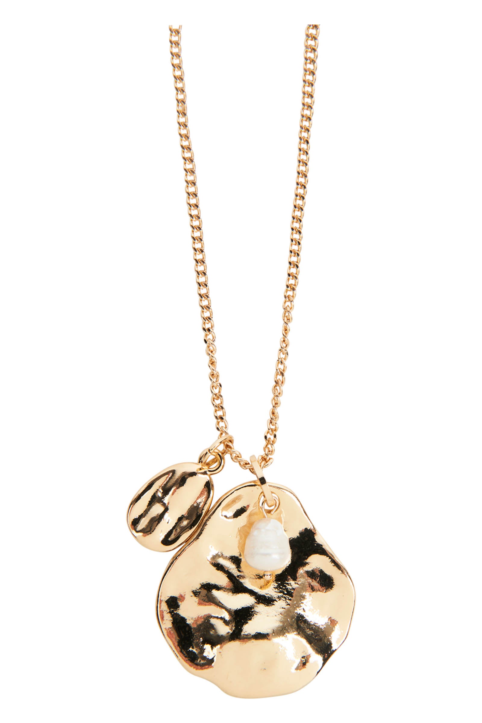 Ivy Necklace - Coin